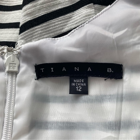Tiana B. White and Black Striped Fit and Flare Dress - Picture 10 of 12